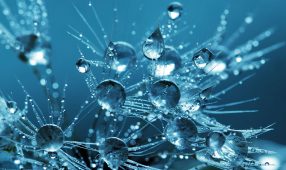 Nouvelle préparation